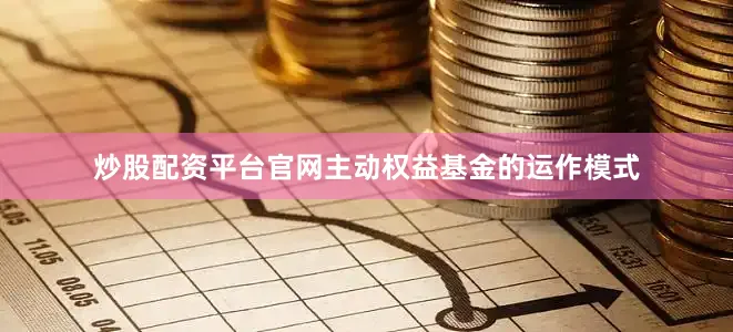 炒股配资平台官网主动权益基金的运作模式
