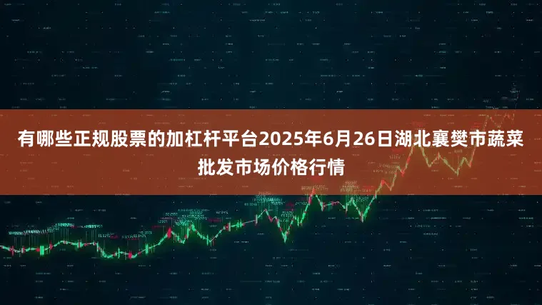 有哪些正规股票的加杠杆平台2025年6月26日湖北襄樊市蔬菜批发市场价格行情
