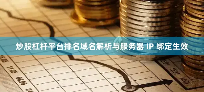 炒股杠杆平台排名域名解析与服务器 IP 绑定生效
