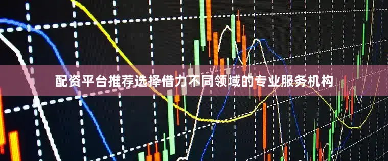 配资平台推荐选择借力不同领域的专业服务机构