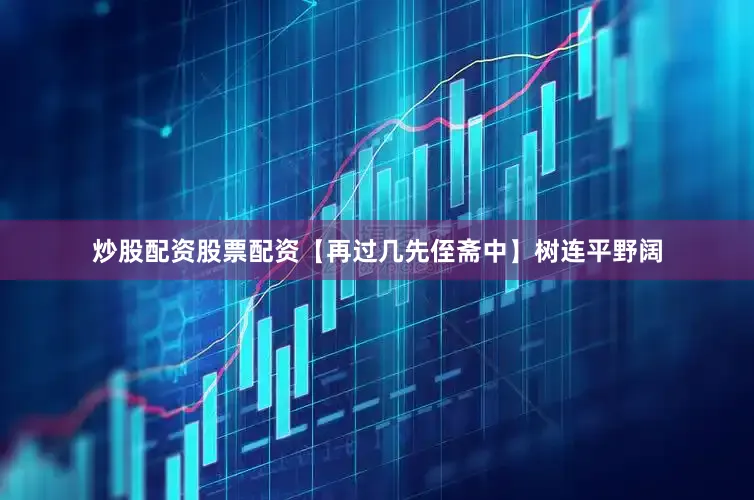 炒股配资股票配资【再过几先侄斋中】树连平野阔