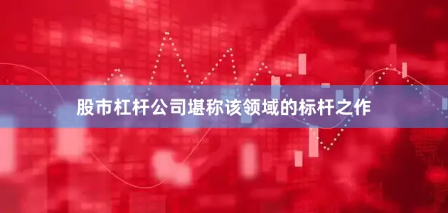 股市杠杆公司堪称该领域的标杆之作